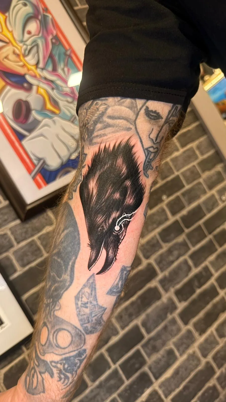Black & Grey - Corvo sombreado